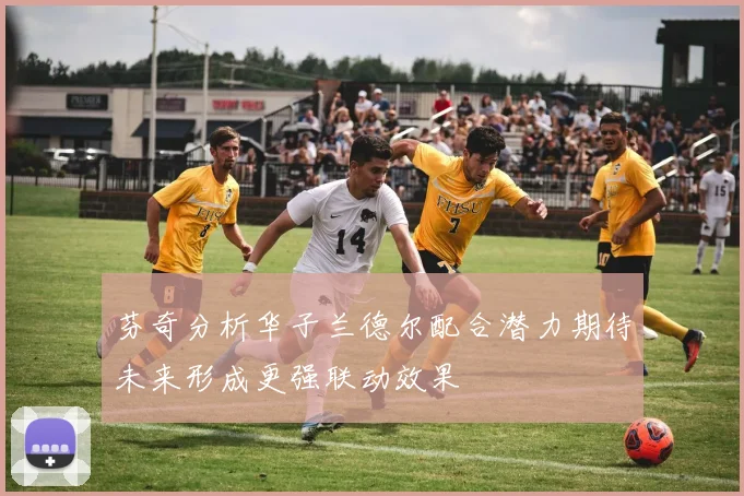 芬奇分析华子兰德尔配合潜力期待未来形成更强联动效果